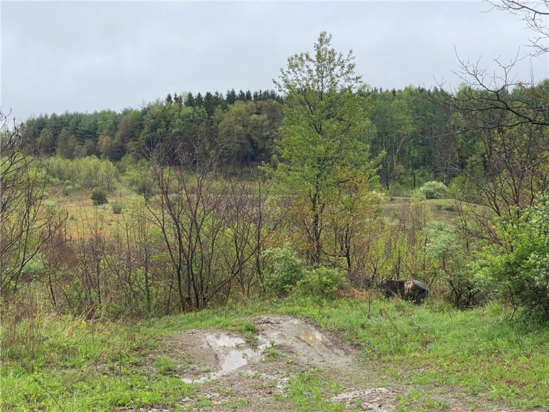00 Decker's Point Road — photo 6