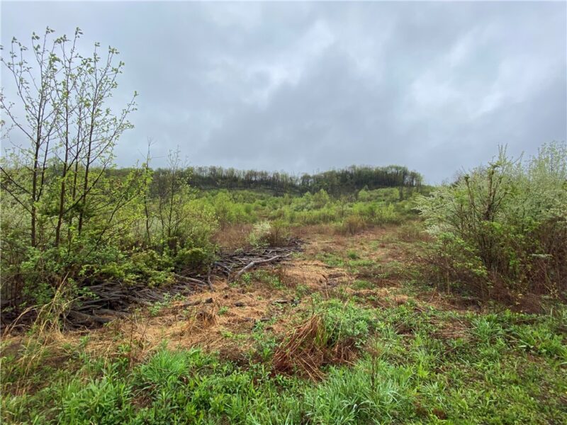 00 Decker's Point Road — photo 8