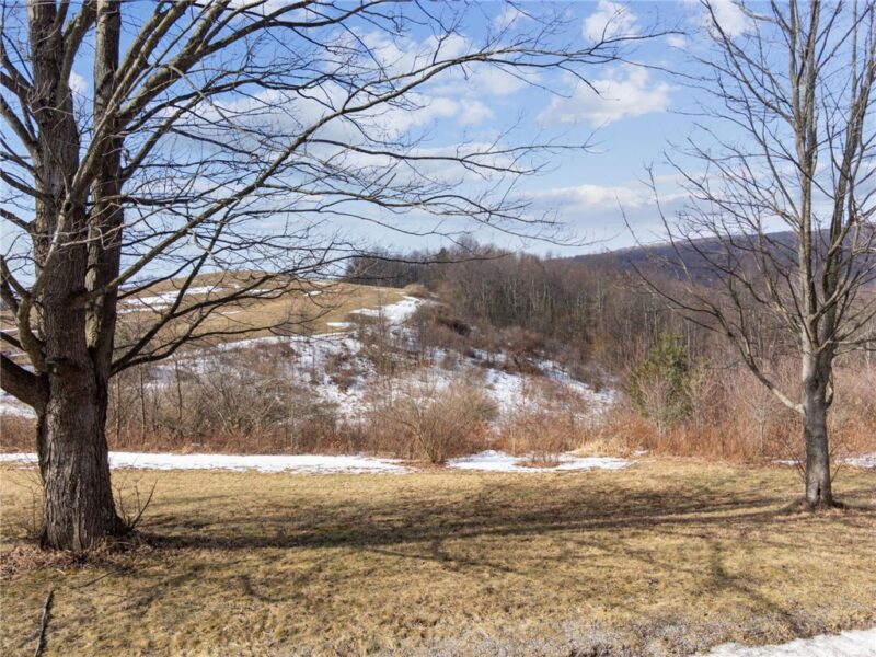 0 McCurdy Trail — photo 3