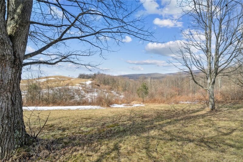 0 McCurdy Trail — photo 4