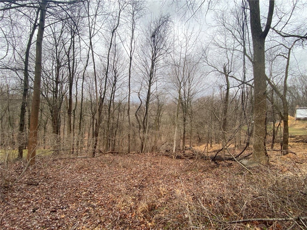 - Old Ramsey Rd — photo 1