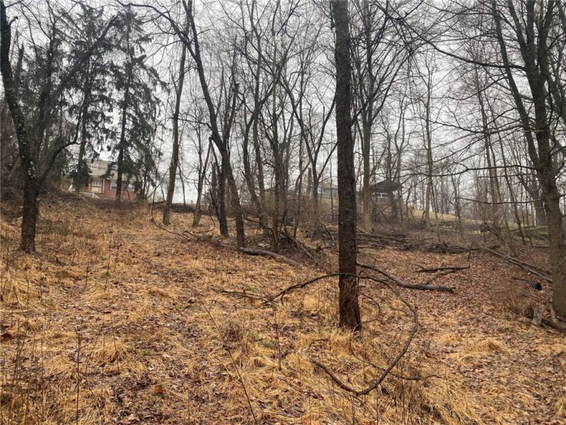 - Old Ramsey Rd — photo 2