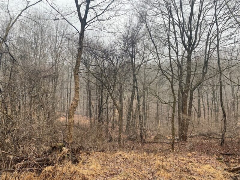 - Old Ramsey Rd — photo 3