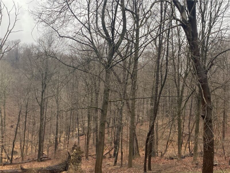- Old Ramsey Rd — photo 4