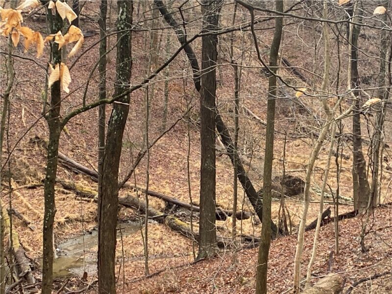 - Old Ramsey Rd — photo 7