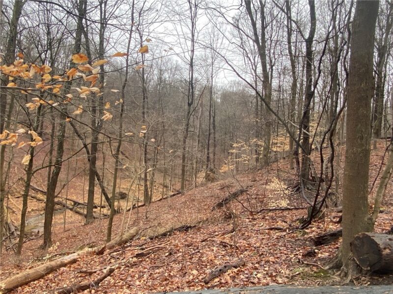 - Old Ramsey Rd — photo 8
