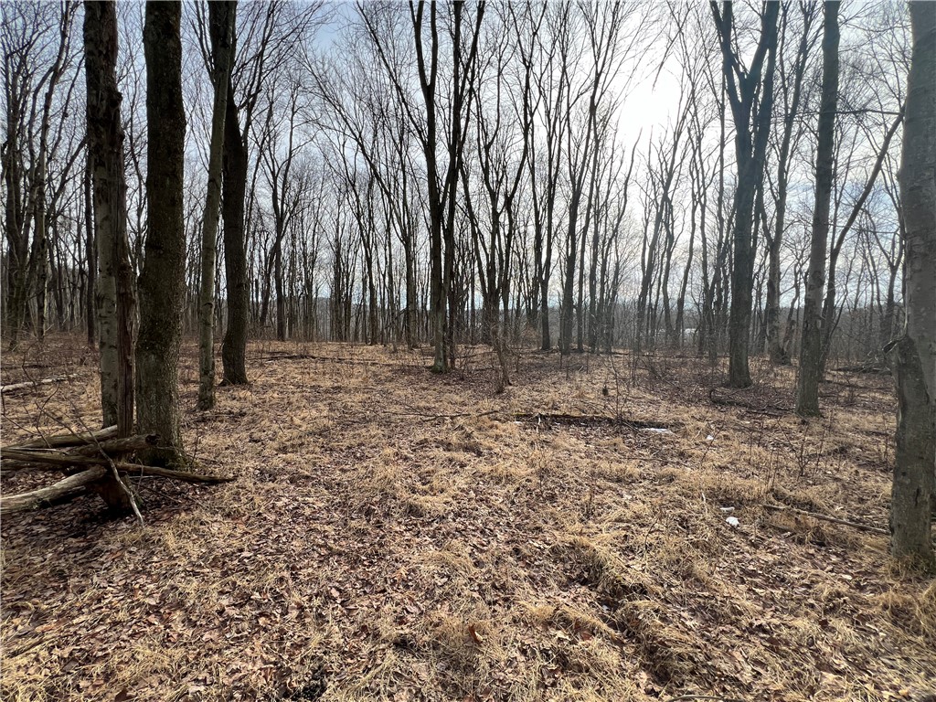 0 N Kings Creek Rd — photo 1