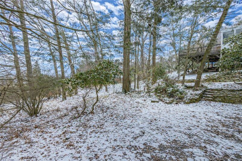1180 Chestnut St — photo 5