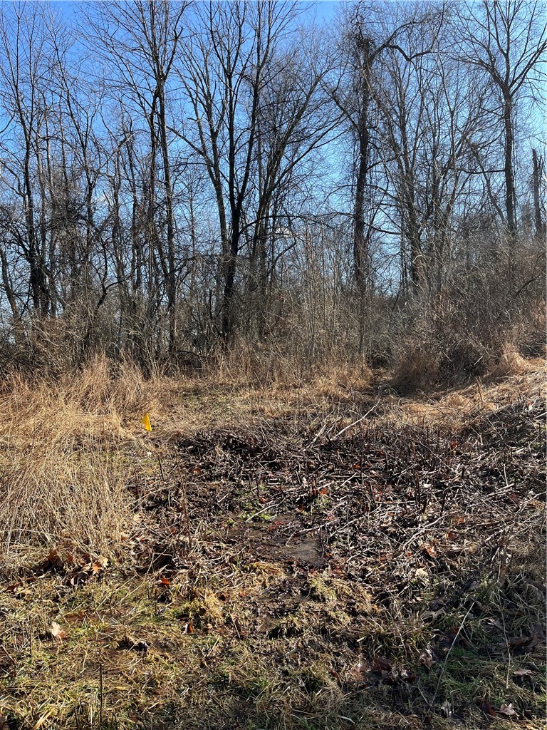 0 Carterway Lane — photo 1