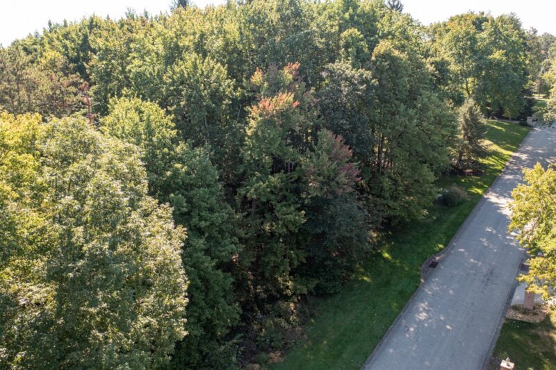 117 Blackthorn Drive — photo 3