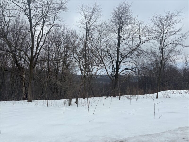 Lot 6 Sheets Rd — photo 2