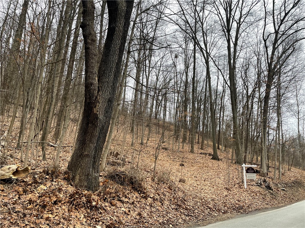 Lot 1-4 Cole Road — photo 1