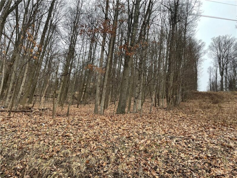 Lot 1-4 Cole Road — photo 2