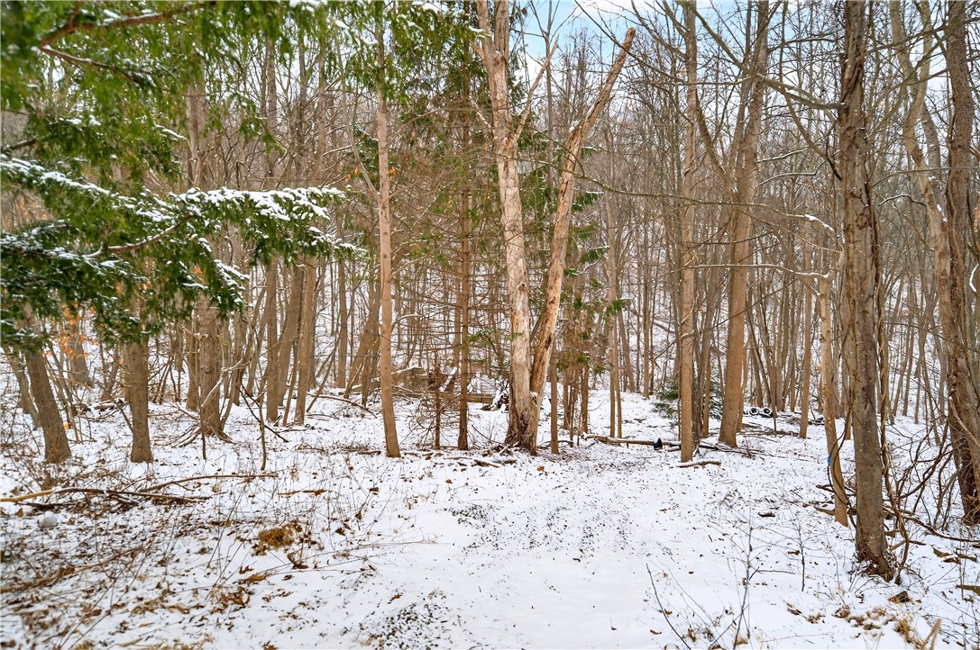 217 Klein Rd — photo 1