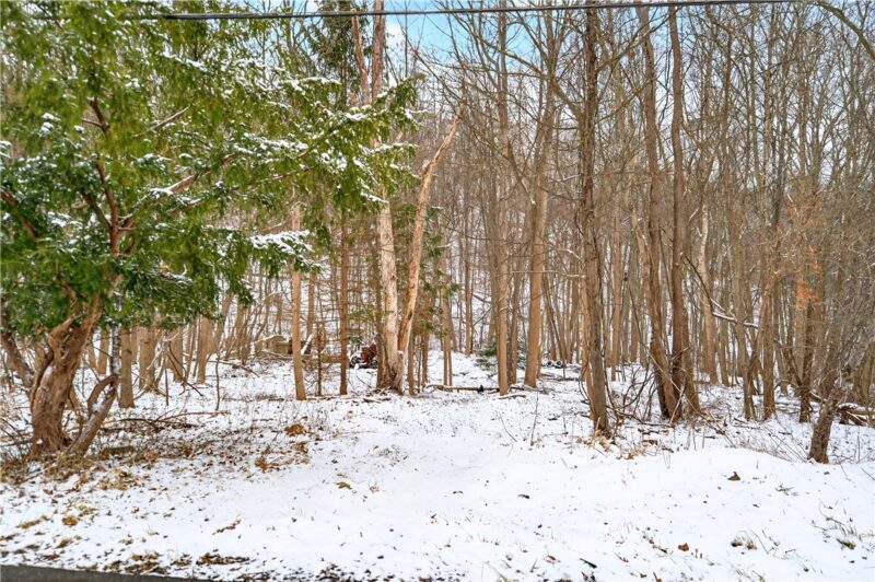 217 Klein Rd — photo 2