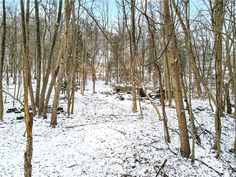217 Klein Rd — photo 3
