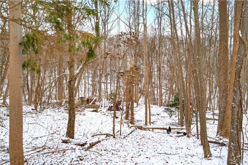 217 Klein Rd — photo 4