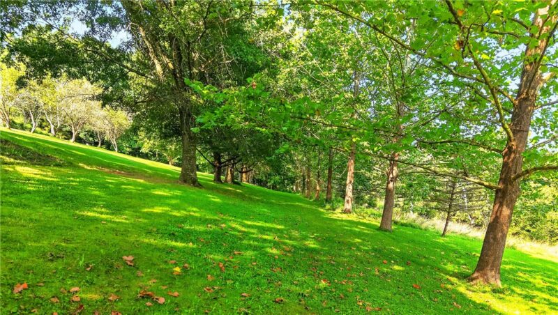 Lot# 14 Verner Lane — photo 2
