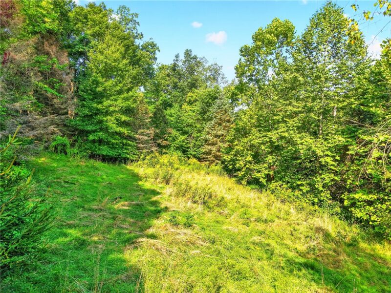 Lot# 14 Verner Lane — photo 4