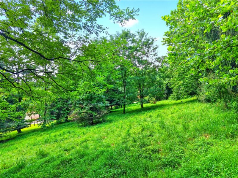 Lot#7 Hemlock Way — photo 3