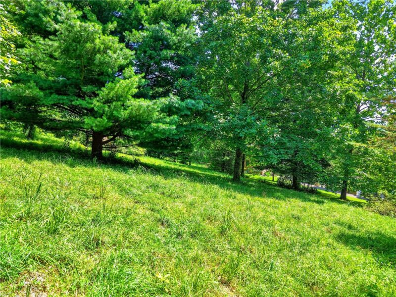 Lot#7 Hemlock Way — photo 4