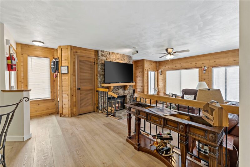 4407 SWISS MOUNTAIN — photo 4