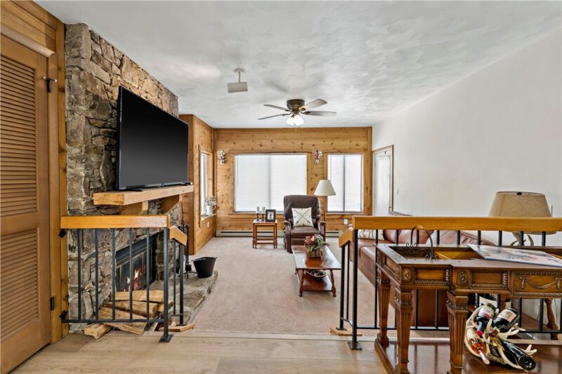 4407 SWISS MOUNTAIN — photo 5