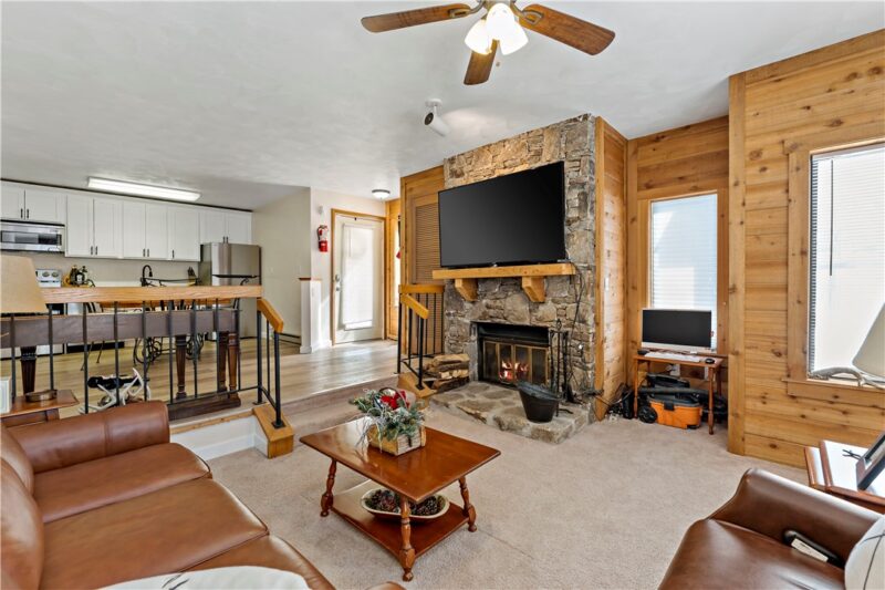 4407 SWISS MOUNTAIN — photo 8