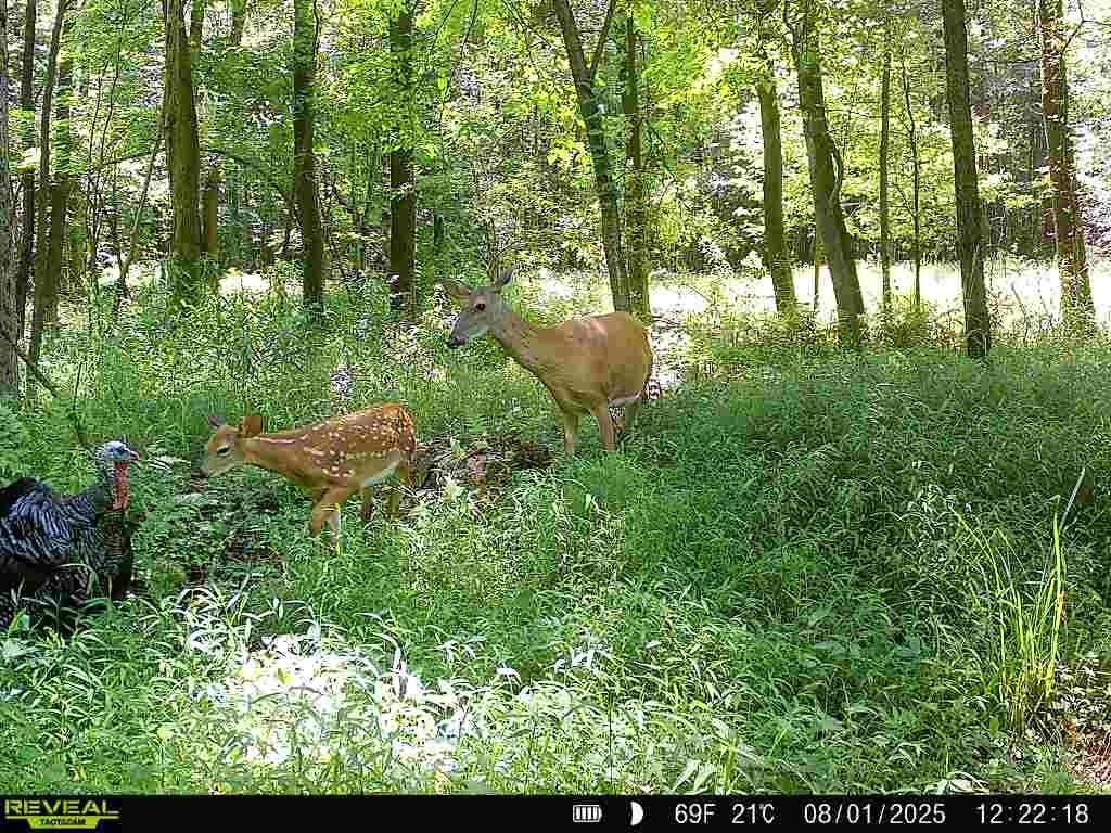 0 SR 258 — photo 1
