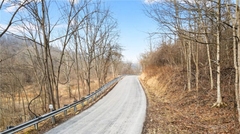 275 NEWMAN ROAD — photo 3