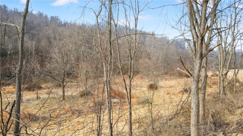 275 NEWMAN ROAD — photo 4