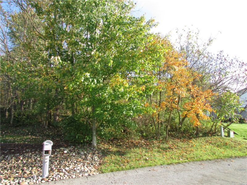 0 Oliver Drive — photo 4