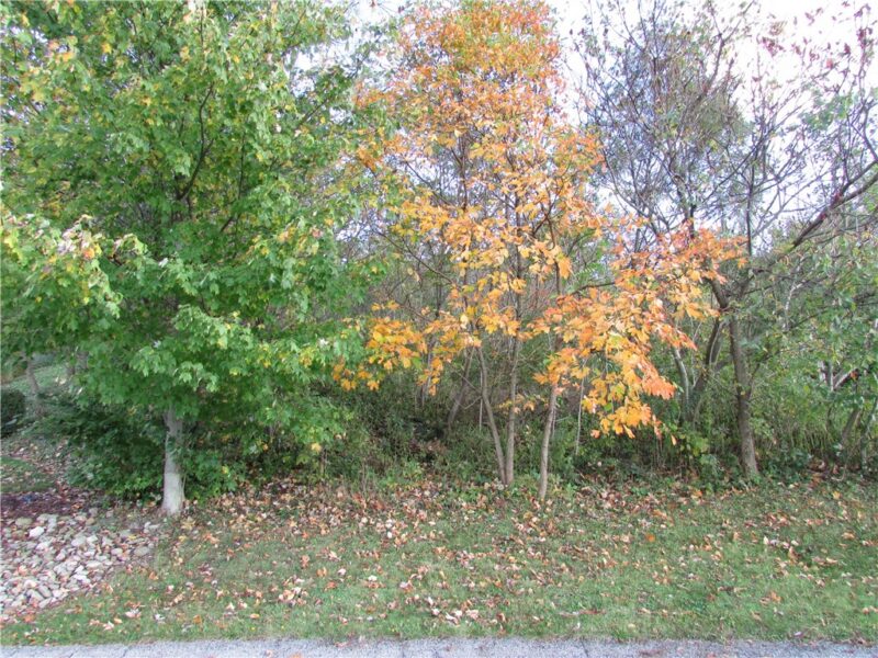0 Oliver Drive — photo 5