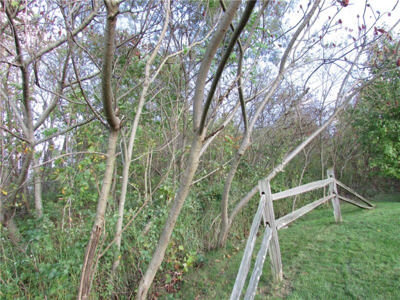 0 Oliver Drive — photo 7