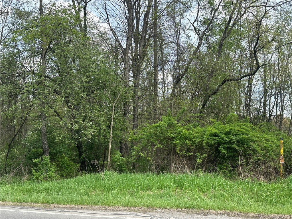 0 Mercer Avenue — photo 1