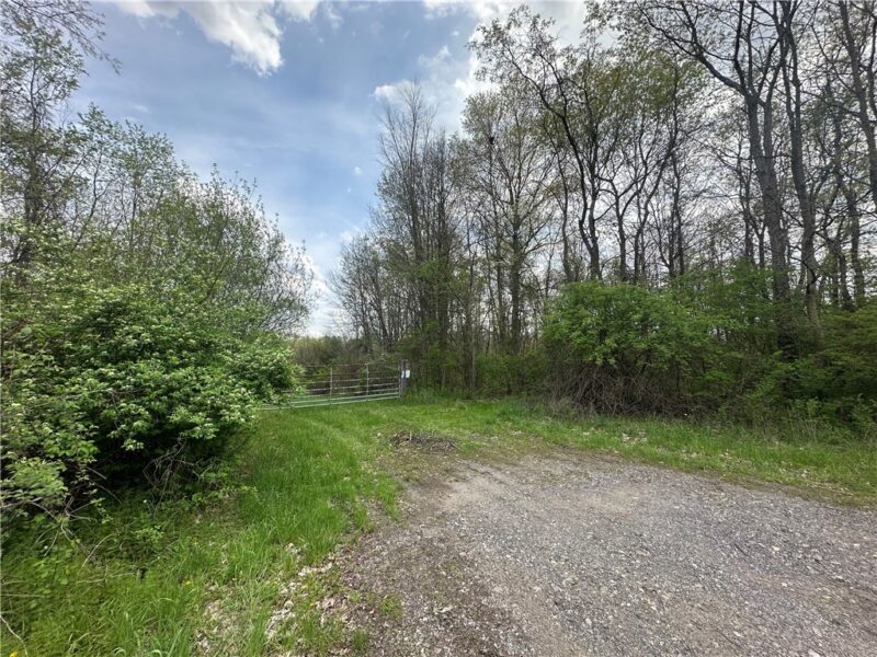 0 Mercer Avenue — photo 4