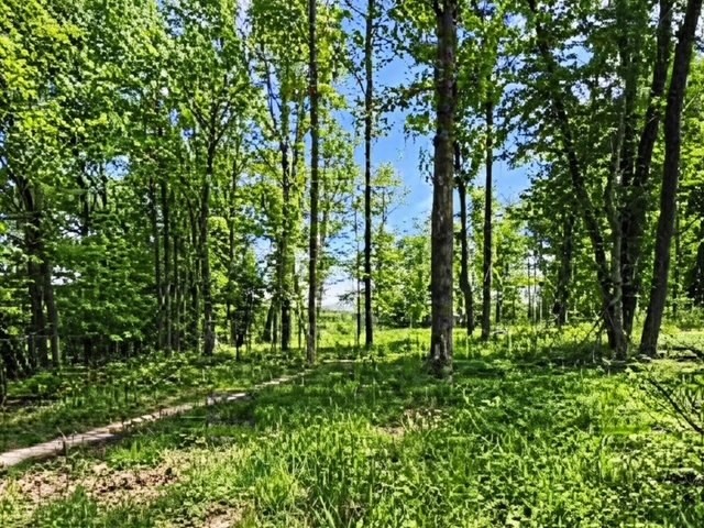 832b W Of Seven Hills Rd — photo 3