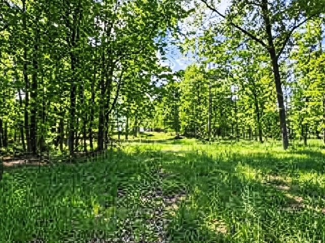 832b W Of Seven Hills Rd — photo 4
