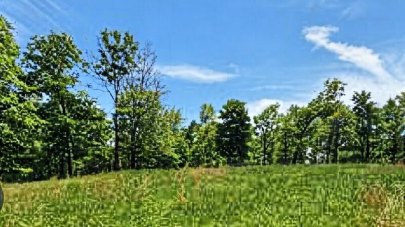 832b W Of Seven Hills Rd — photo 6