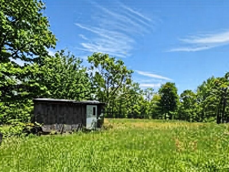 832b W Of Seven Hills Rd — photo 8