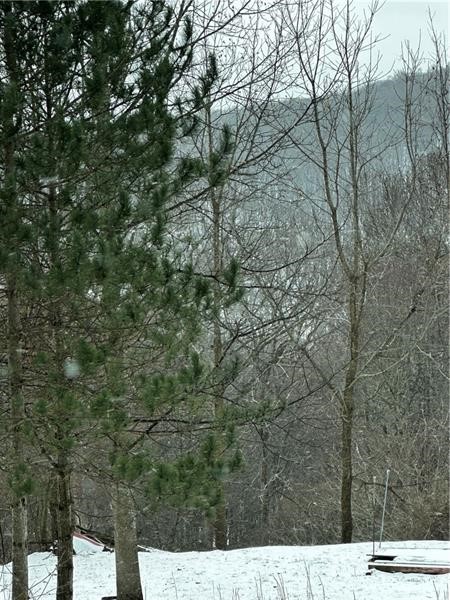 702 Shepherd Rd — photo 2