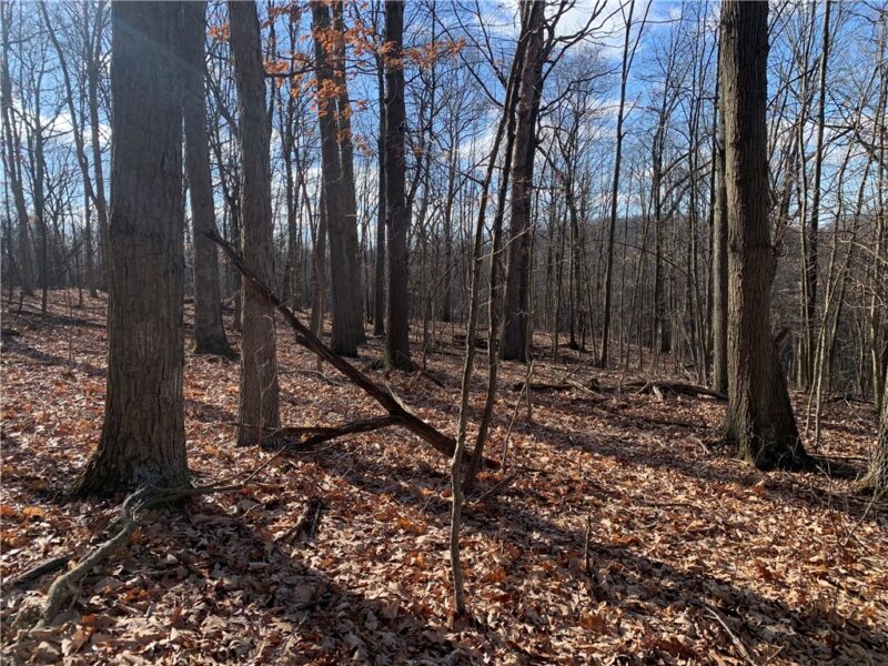 00 Bakerstown Rd — photo 2