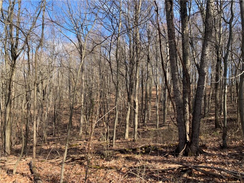 00 Bakerstown Rd — photo 3