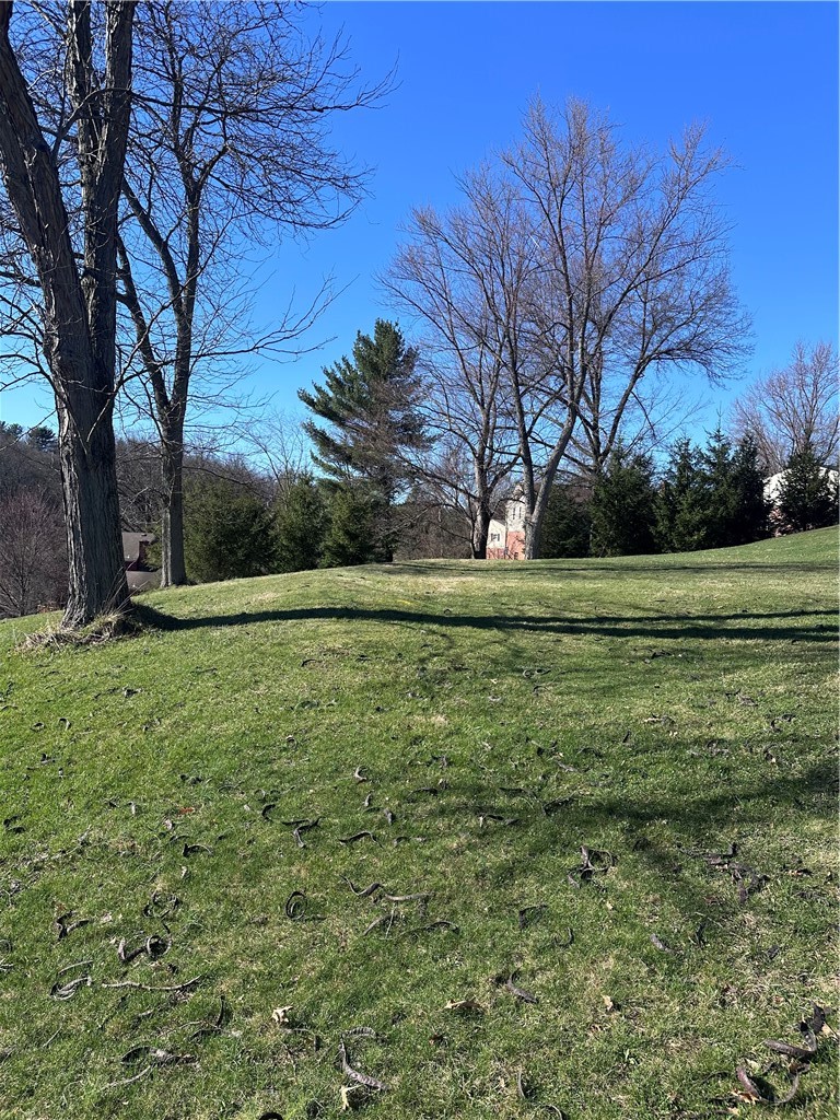 2544 Edgewood Drive — photo 3