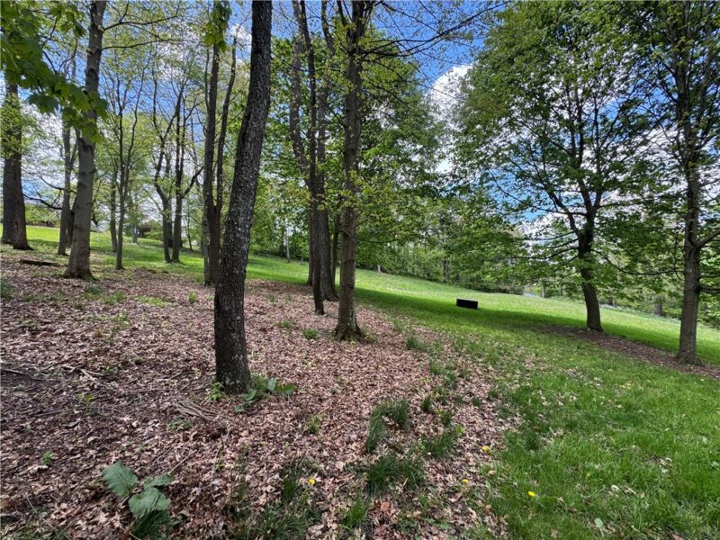 425 Felgar Road — photo 4