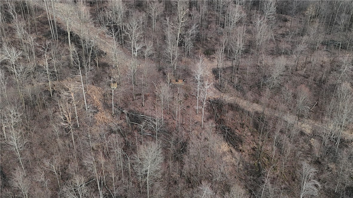 6 Acres along Gallagher & Loop Roads — photo 1