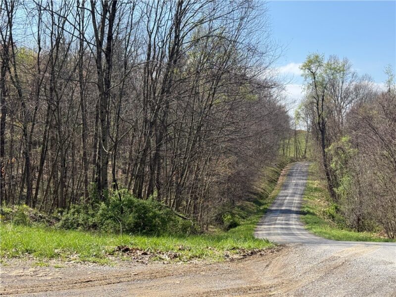 6 Acres along Gallagher & Loop Roads — photo 2