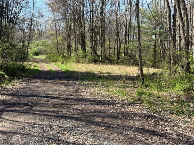 6 Acres along Gallagher & Loop Roads — photo 5