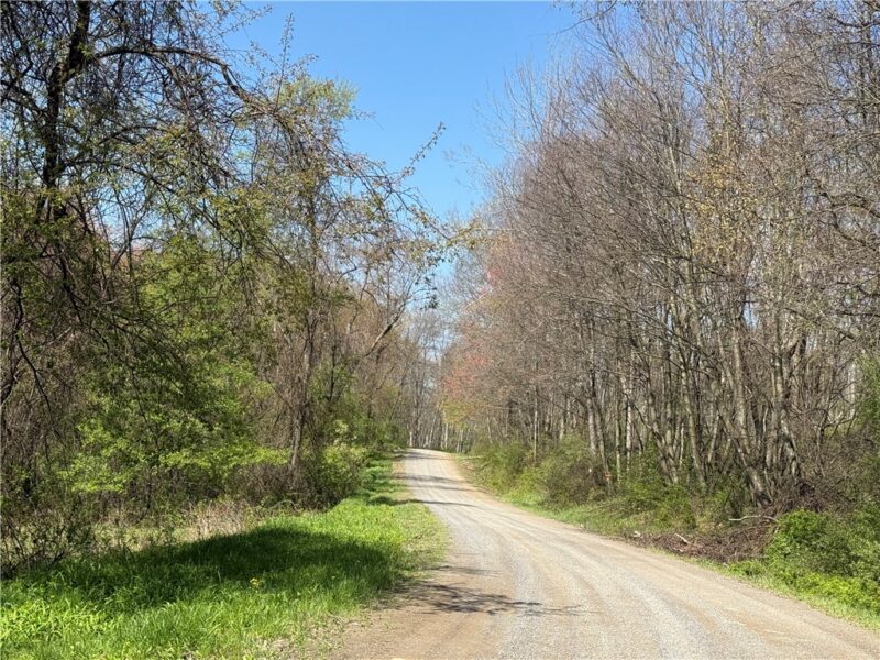 6 Acres along Gallagher & Loop Roads — photo 6