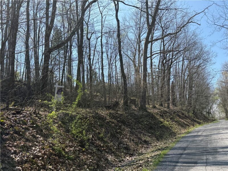 6 Acres along Gallagher & Loop Roads — photo 7